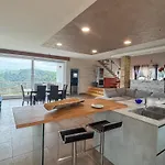 Vila Loft Irene With Private Pool Tergu
